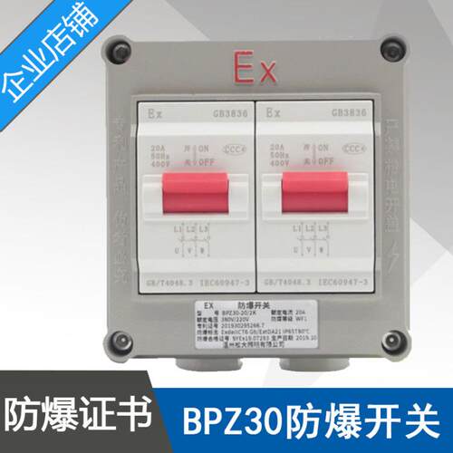 BPZ30-20/2K防爆开关ExdeIICT6二开双开电流20A电压220V380VIP65