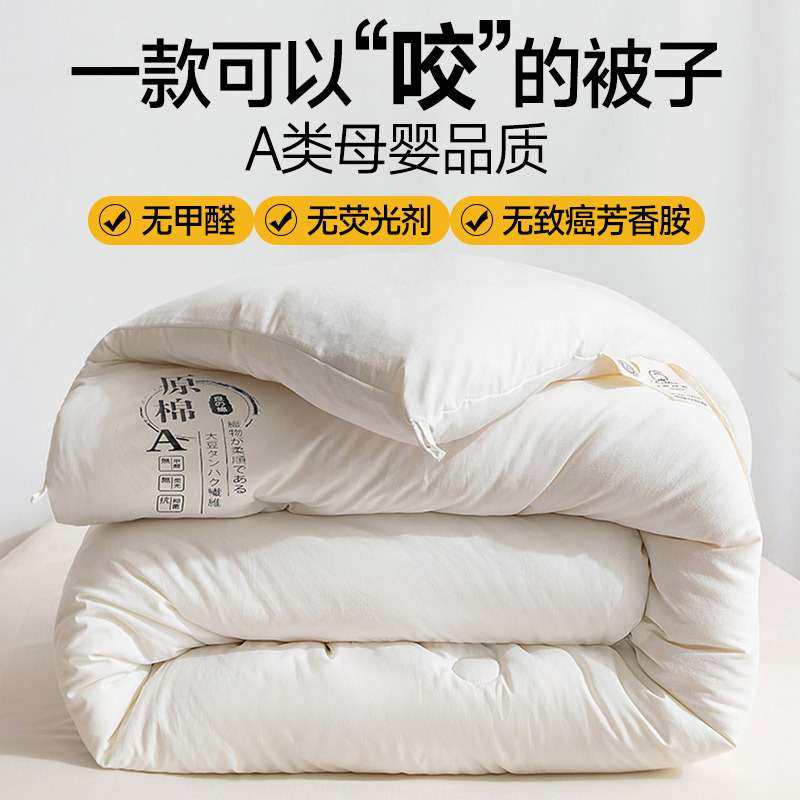 秋冬A类母婴级日系原棉无污染大豆被子秋冬被芯春秋被冬被加厚,3C数码配件,其它配件,淘宝优惠券,粉丝福利购,淘宝优惠卷