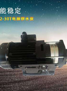 cw2-30t电脑锣水泵 切削马达CW2-30T电火花机卧式马达