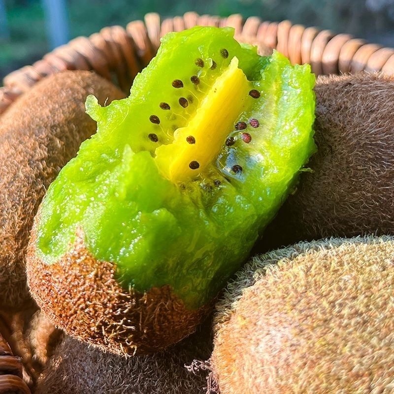 贵州修文猕猴桃贵长绿心奇异果新鲜野生水果小弥猴桃礼盒大果