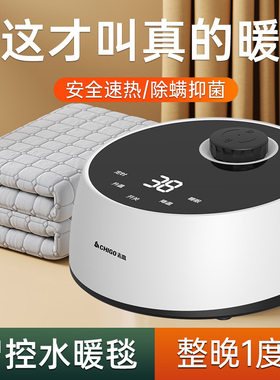 水暖电热毯双人单人双控水电褥子水循环水热毯床炕加热2024s32823