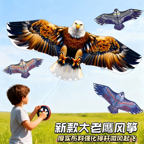 老鹰风筝批发摆摊专用易飞儿童带