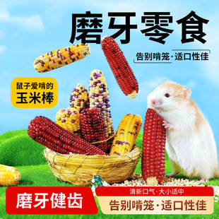 仓鼠磨牙棒零食小玉米粮食面包虫金丝熊花枝造景生活用品解闷玩具