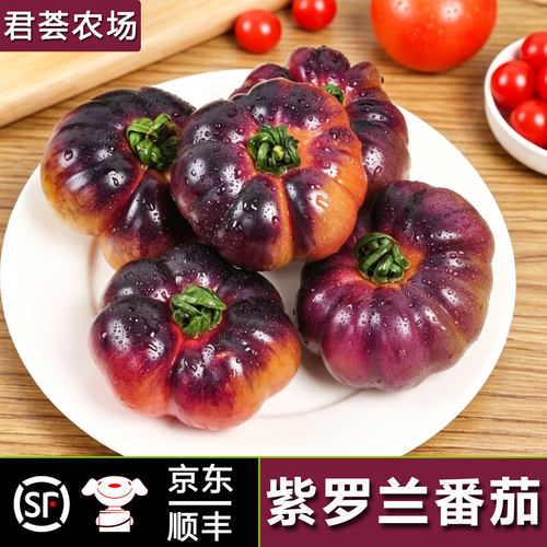 君荟农场紫罗兰番茄沙瓤多汁