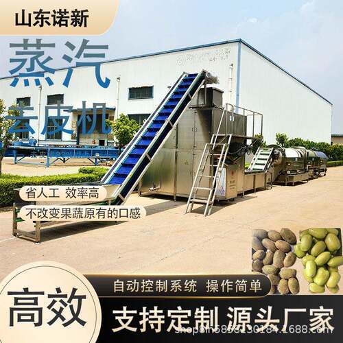 块茎类果蔬剥皮机小土豆快速蒸汽去皮机蔬菜深加工设备