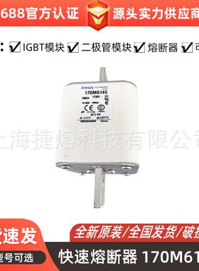 170M6145 170M6142 快速熔断器 保险丝 电子元器件 量大价优