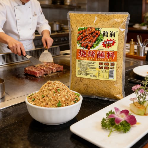 鹤润齐齐哈尔五香味烤肉蘸料粉500g东北烧烤干碟调料撒料炸串常备