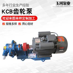 KCB齿轮泵不锈钢齿轮油泵食品卫生输送泵自吸泵化工泵