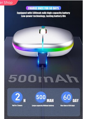 Bluetooth Wireless With USB Rechargeable  RGB Mouse BT5.2 Fo