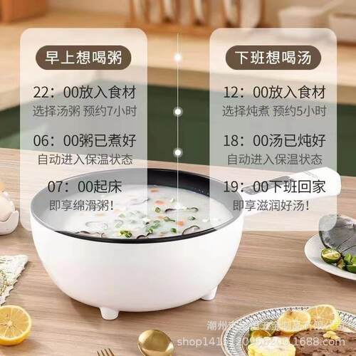 110v spot 3L/4L multifunctional electric cooking pot student