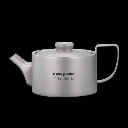 纯钛泡茶壶带把防烫功夫茶具装家用旅行便携耐摔带滤网泡茶器