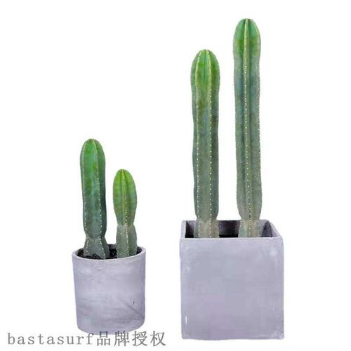 Fairy column measuring ruler potted Nordic wind indoor larg
