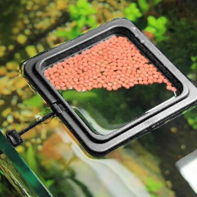 Black Color Aquarium Feeding Ring Fish Tank Floating Food Tr