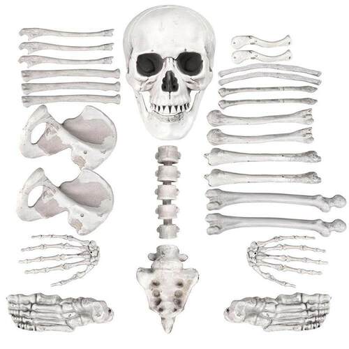 Halloween Prop 28pcs Bones Human Skeleton Body Parts Haunt