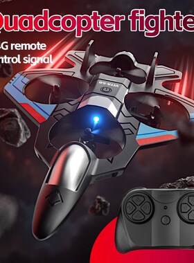 V50 RC Plane 2.4G Remote Control Aircraft 360 Stunt Helico