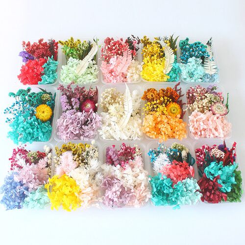 Preserved Flower Diy Dried Flower Material Package Holiday G