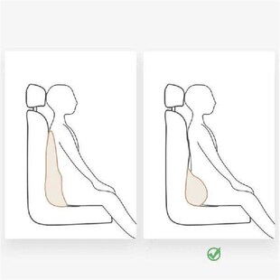 Lumbar Support Cushion Lumbar Chair Comfort Pillow