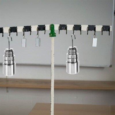 350g Slotted Weights Set Metal Mass Discs with Hanger Box