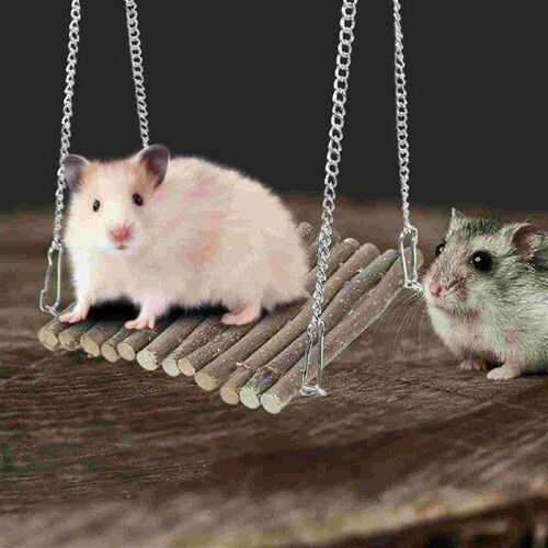 Chameleon Swing Toy Lizard Sleeping Bed Hamster Supplies