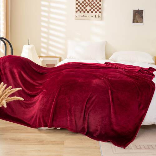 Thick Warm Bed Blankets Wool Blanket Bedspread冬天保暖厚毛毯