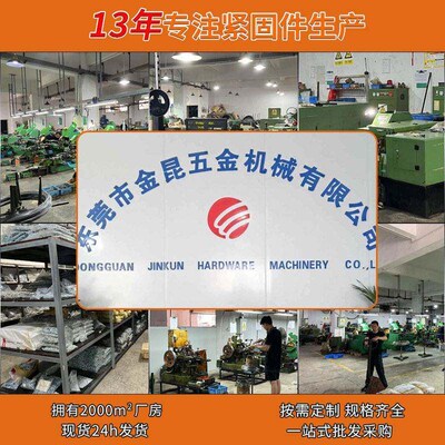 Customized Mother-In-Law Locking Screws, Flat Round Head