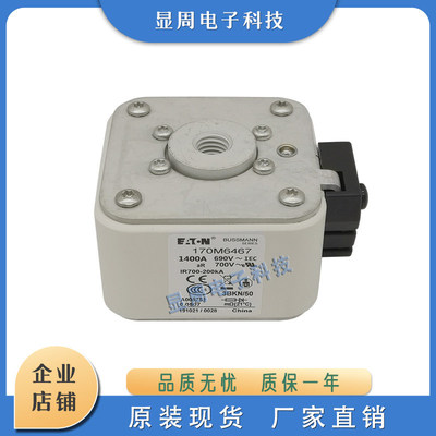 快速熔断器保险丝170M64/