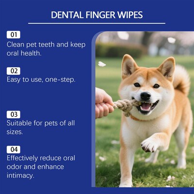 EELJOY Pet Dental Cleaning Wipes - Gentle Ingredients to Car