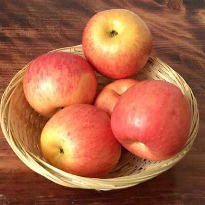 10pcs Wood Gift Storage Baskets Beautifully Woven And