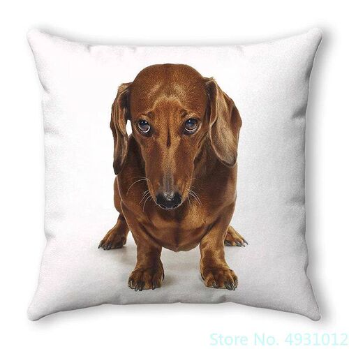 Small Pet Dog  Poodle New Year Cushion ver Pillow Case Sofa