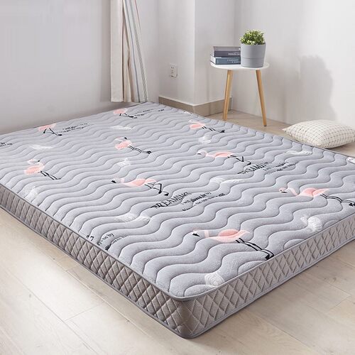 Thicken Bed Mattress Topper Bed Pads Floor Sleeping Mat 床垫