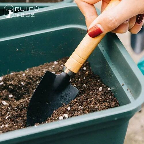 3Pcs/Set Mini Garden Tool Set For Garden Plants Flower Pot C