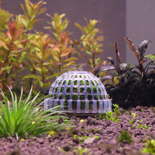Natural Mineral Moss Ball Filter For Aquarium Crystal Red Sh