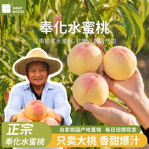 【江浙沪专享】奉化水蜜桃新鲜桃子干自家果园现摘现发特级果