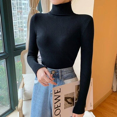 Autumn Winter Women Long Sleeve Knitted Foldover Turtleneck
