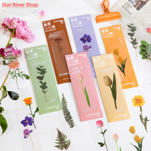 set pcs flower Natural leaves Plant Bookmark PVC Series