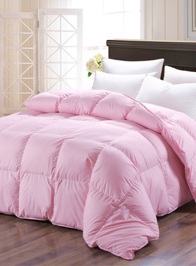 Down Duvet with Cotton Fabric Warm Quilt Comforter Blanket