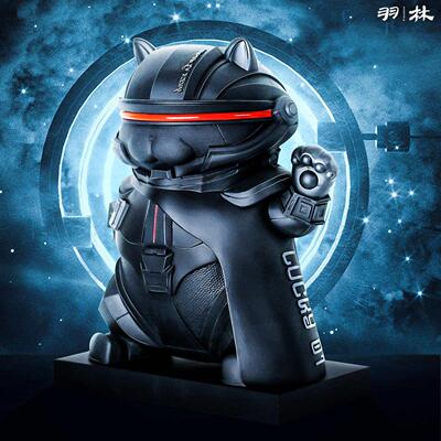Cyberfortunecamspingh