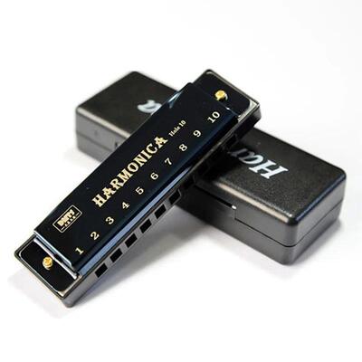 Harmonica Key of C 10 Hole Diatonic Harmonica C with Case fo