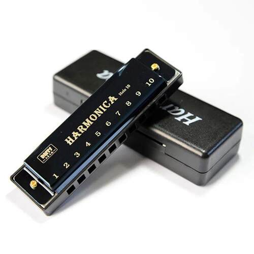 Harmonica Key of C 10 Hole Diatonic Harmonica C with Case fo