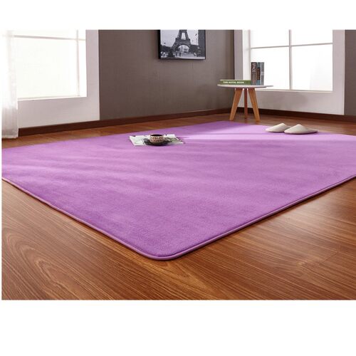 Velvet floor mat coffee table tatami bedside rug blanket