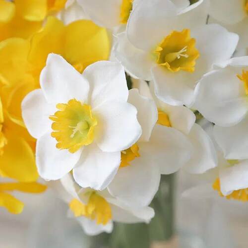 6pcs/set Artificial Flower Narcissus Bouquet Silk Cloth Wedd