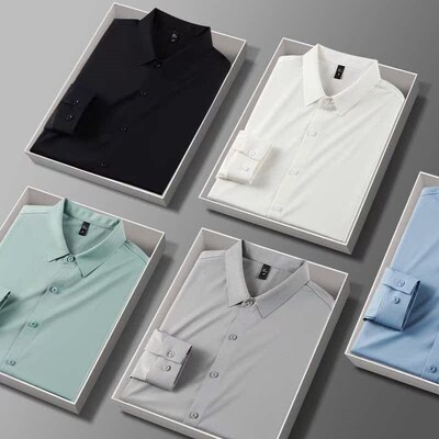 Shirt Mens Long-sleeved High-end Sense New Entry Luxury Tra