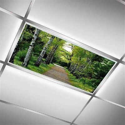 Ceiling Lamp Shade Magnetic Fluorescent Light Cover