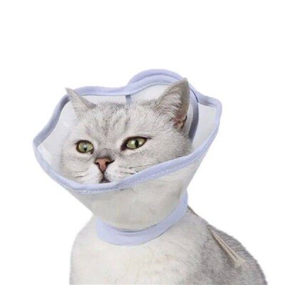 Transparent Cats Recovery Collar Practical Hygienics Cats