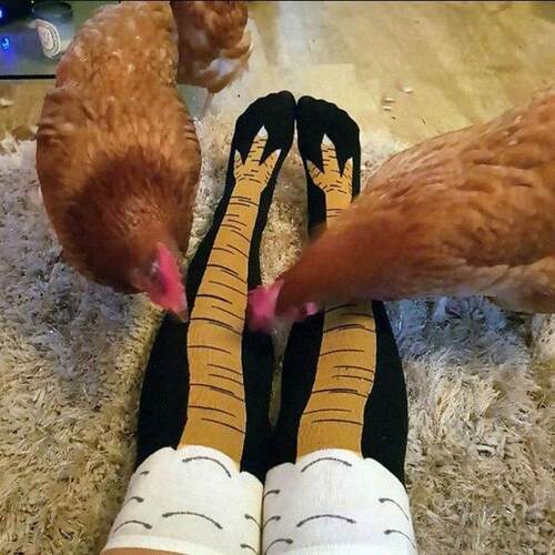 Chicken Long Socks Fashion Cotton Funny 3D Unisex Over Knee