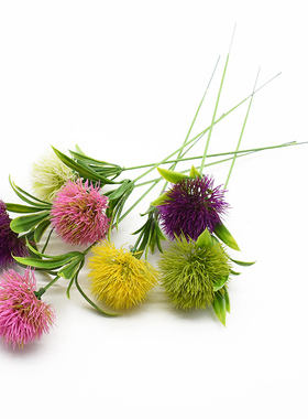 5pcs Plastic Dandelion Vase for Home Decoration Accessories