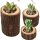 Stump Tree Candle Holder Tealight 4Pcs Wooden Natural