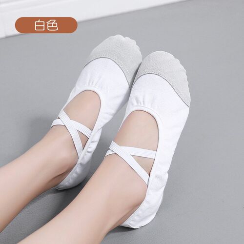 Dance Shoes Soft Sole Ballet Shoes for KidsAdultsSoftSoled D