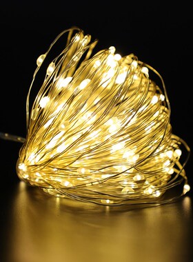 1M 2M 3M 5M 10M Copper Wire LED String Lights Christmas