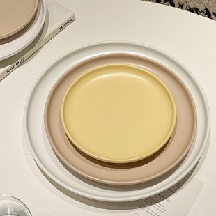 10  Matte Ceramic Plate Solid Color Pizza Dish